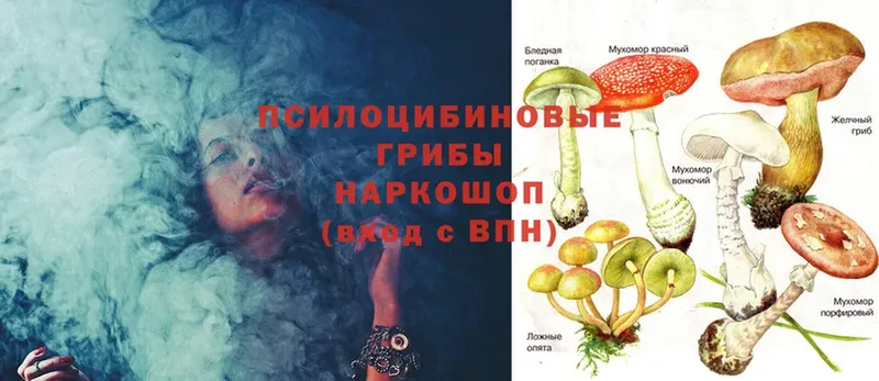 закладки  МЕГА зеркало  Галлюциногенные грибы Magic Shrooms  Волчанск 